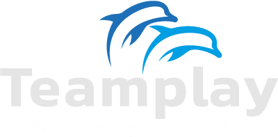 Teamplay Logo light